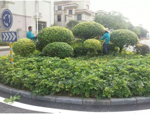 博鱼boyu：小区景观绿化工程竣工资料